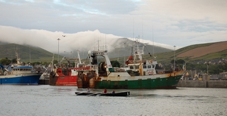 Port de Dingle